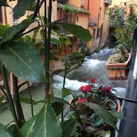 Martina Campailla's Photo