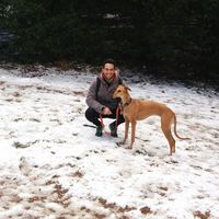 Fotos von David Manzano