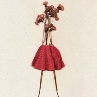 Photos de Claudia Rodríguez