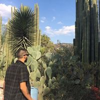 Mano Flores的照片