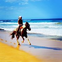 Darina Pogodina's Photo