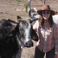 Enea Labescau的照片