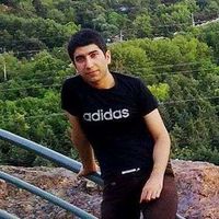 Fotos von Mohsen Najafi