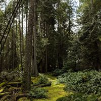 Rachel Susanna的照片