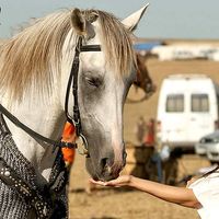 Gözde Yılmaz's Photo