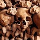 Foto de Catacombs De Paris