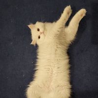 Yousef Qallaf's Photo