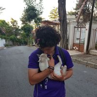 Fotos de lucas Palmer