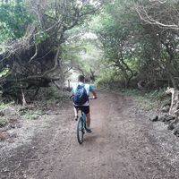 DARWIN  MARQUEZ's Photo