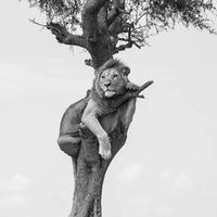 Jaime Walfisch's Photo