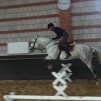 Hasan erdem Urfalıer的照片