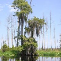 Sarah Ratcliffe's Photo