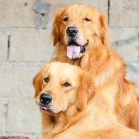 Allan Jeff Evangelista的照片