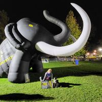 Laura Bothner's Photo