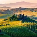 Driving around the countryside in Tuscany's picture