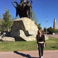 Beste Selen的照片