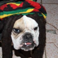 Karen Pelaez's Photo