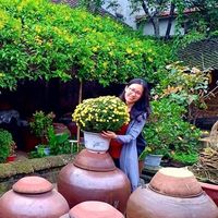 Do Ngoc Mai的照片