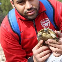 Abderrahim S'khifa的照片