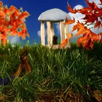 John David Devirgiliis的照片