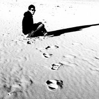 anas agrina的照片