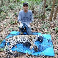 Jesus Iglesias's Photo