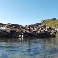 Chloe Goulon的照片