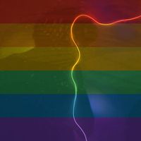 Almir Nunes Jr.的照片