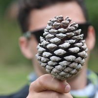 Fernando Caballero的照片