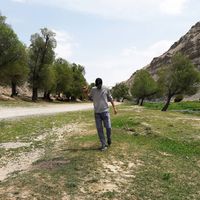 Hossein Moghaddam's Photo