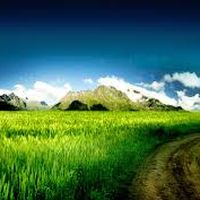 Fotos von sammy green