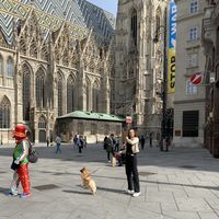 Dariia Banishevska's Photo