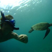 Geoffrey Chasle的照片