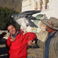 Andrea Suarez的照片