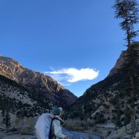 Med Ouzennou的照片