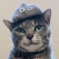 Fumiaki Matsuo's Photo