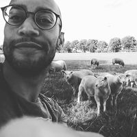 Phris Wolvenkoning的照片