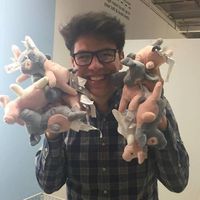 David Pearl的照片