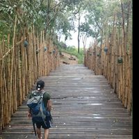 Фотографии пользователя caner yilmaz