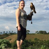 Abbey Krumrie's Photo