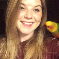 Allison MacDougall的照片