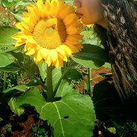 Henna Nguyễn's Photo