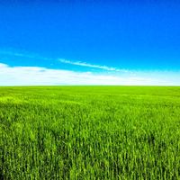 Cristian Guevara的照片