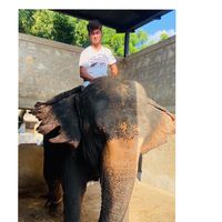 Dr Mushahid  Husain's Photo