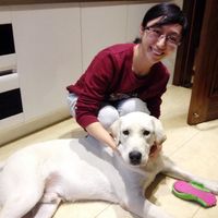 Фотографии пользователя Irene LUO HAO