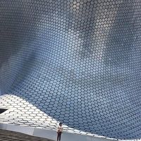 Desyree Mayén的照片