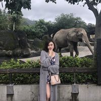 Michiko Tsujido的照片