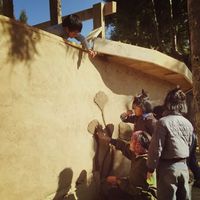 Nikita Harikishan的照片