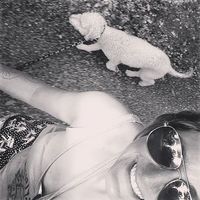 Фотографии пользователя Casey Barnett