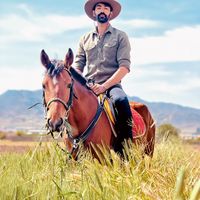 Fotos de Amin Ghaem Panah